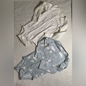 Baby Bodysuit Set in Cream and Blue